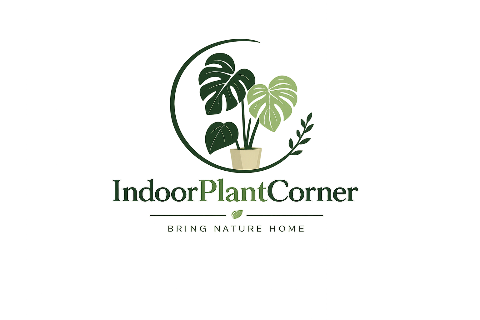 Indoor-Plant-Corner