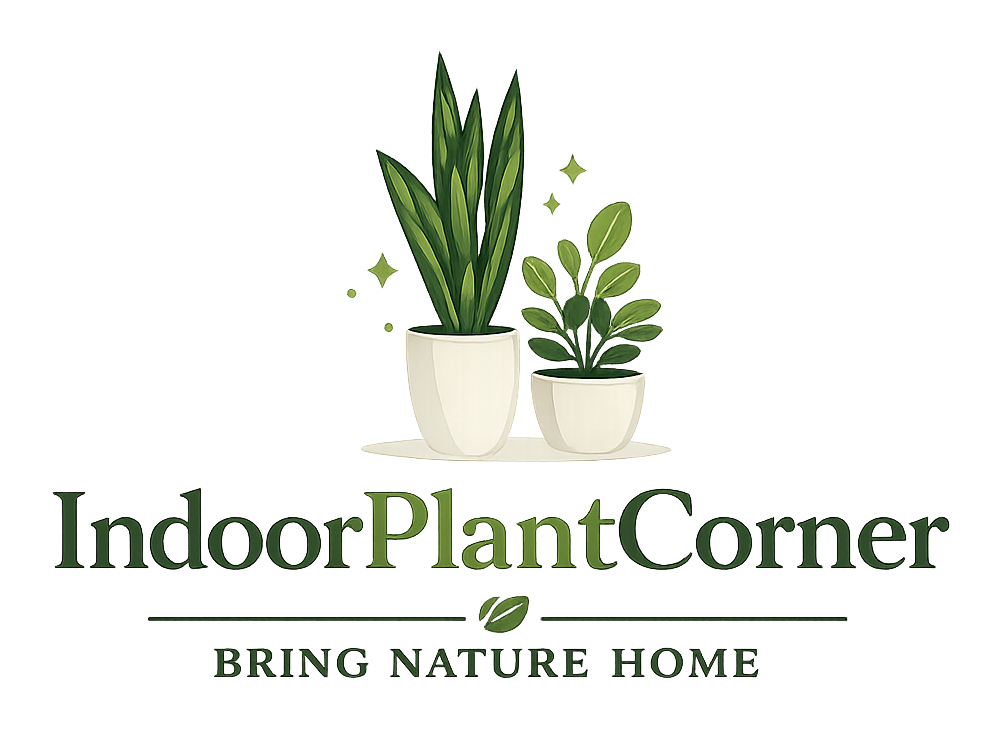 Indoor Plant Corner